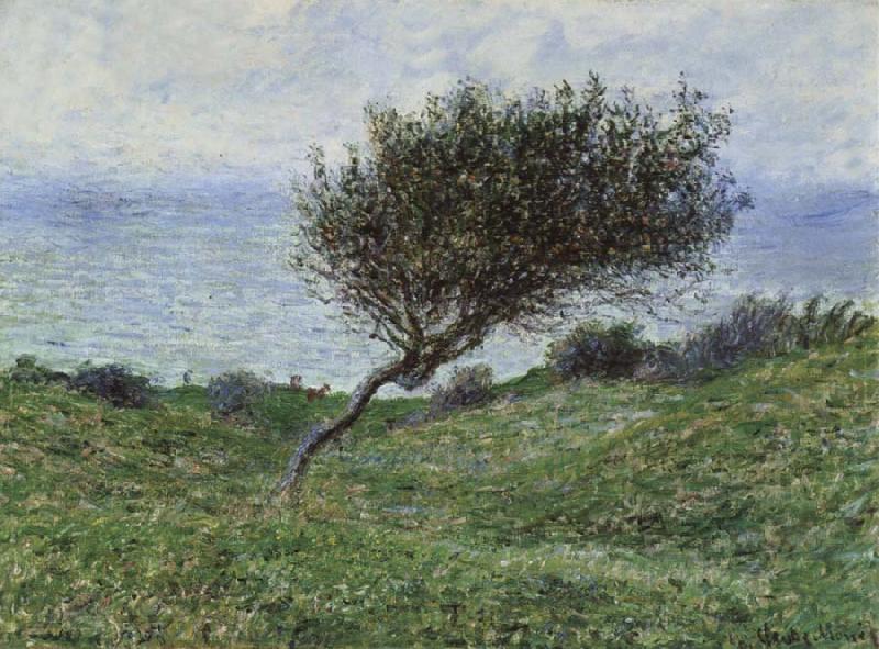 Claude Monet On the Coast at Trouville Spain oil painting art